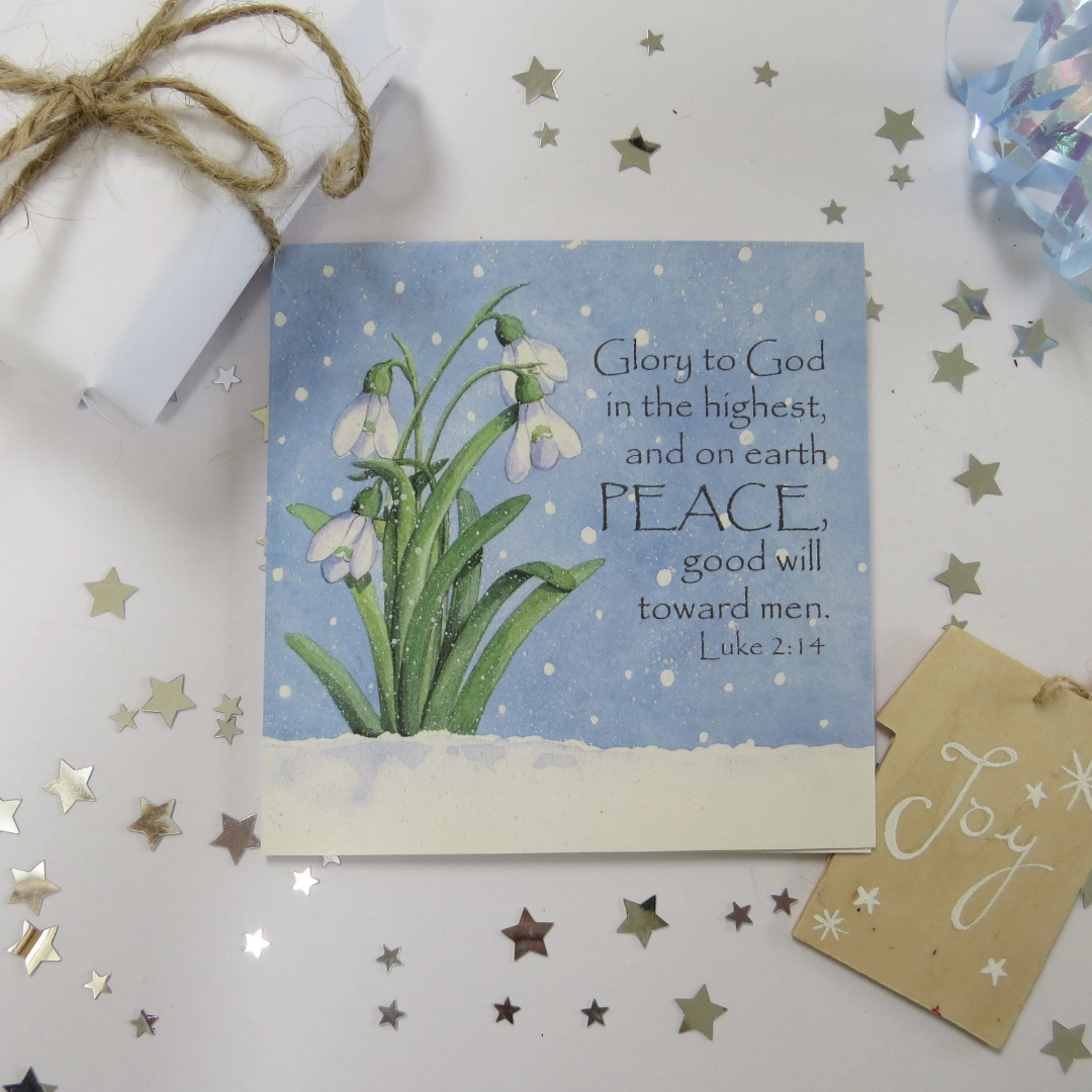 Snowdrops Christmas Cards (Pack of 5) - Re-vived