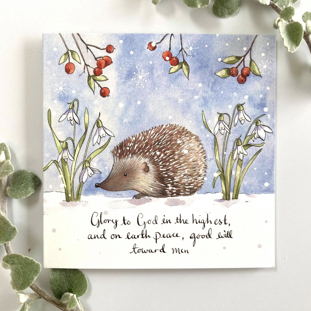 Hedgehog (Blank Inside) Christmas Cards (Pack of 5) - Re-vived