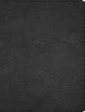 CSB Men Of Character Bible, Revised And Updated, Black Genui - Re-vived