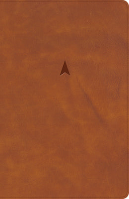 CSB Church Bible, Anglicised Edition, British Tan Leathertouch - Re-vived