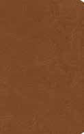 NASB Single-Column Personal Size Bible, Tan Genuine Leather - Re-vived