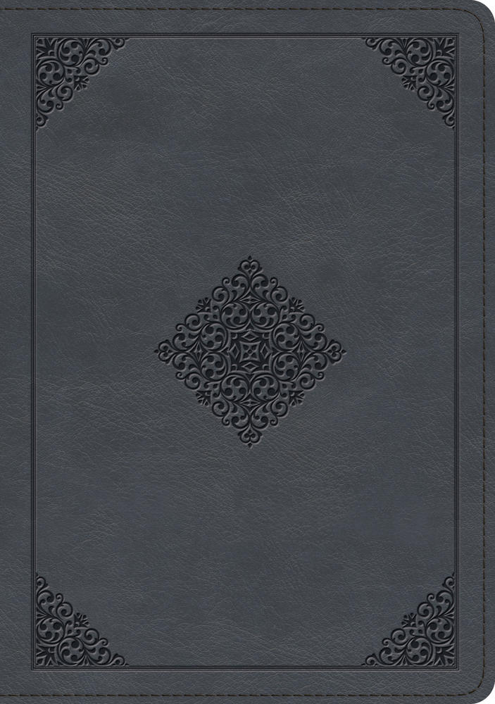 ESV Large Print Wide Margin Bible (Trutone, Slate Blue) - Re-vived