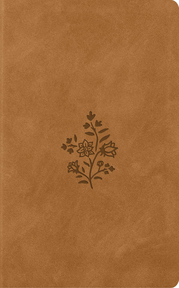 ESV Vest Pocket New Testament With Psalms And Proverbs - Re-vived