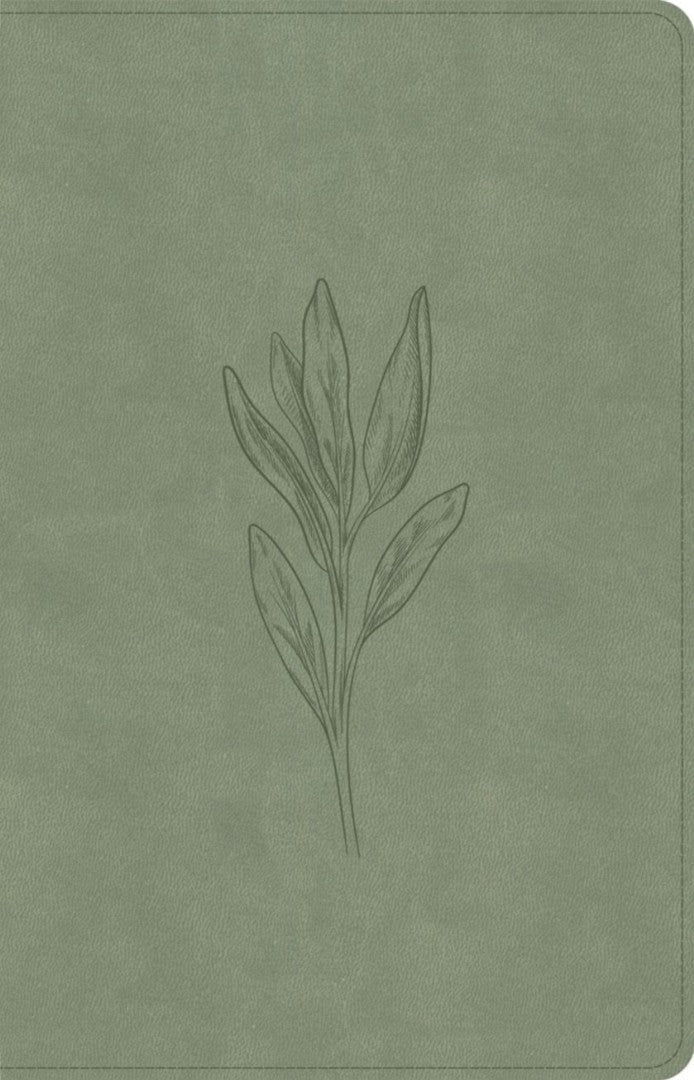 CSB Thinline Bible, Digital Study Edition, Sage - Re-vived