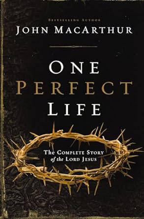 One Perfect Life - Re-vived