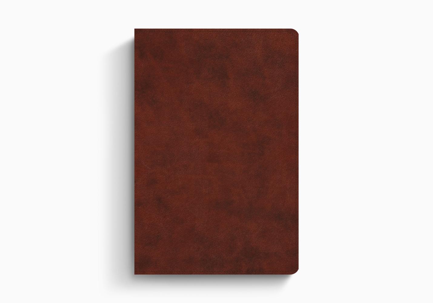 ESV Gospel Transformation Study Bible - Re-vived
