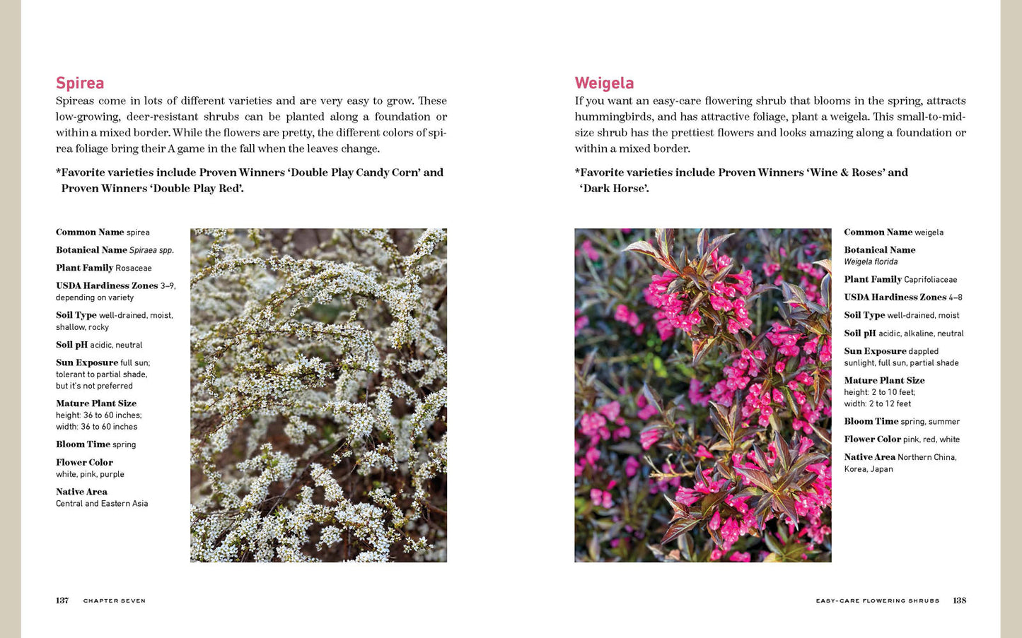 The Bricks 'n Blooms Beautiful and Easy-Care Flower Garden - Re-vived