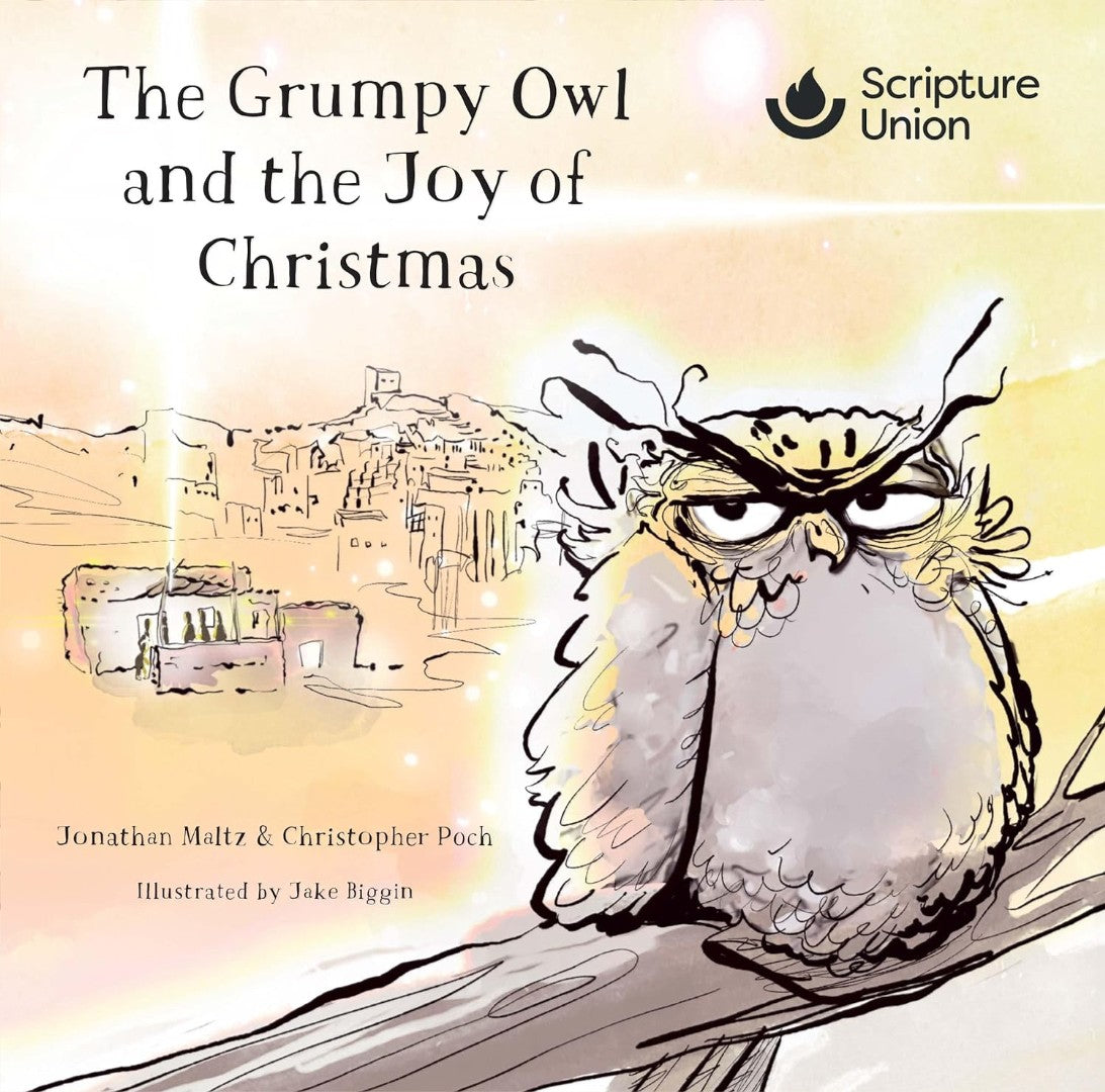 The Grumpy Owl and the Joy of Christmas (pack of 10) - Re-vived