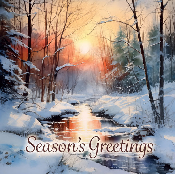 Christmas Boxed Cards: Winter Scenes (Pack Of 16) - Re-vived