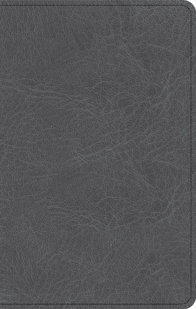 NASB Personal Size Bible, Charcoal - Re-vived
