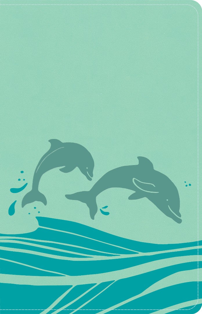 KJV Easy-for-Me Bible for Early Readers, Seafoam - Re-vived