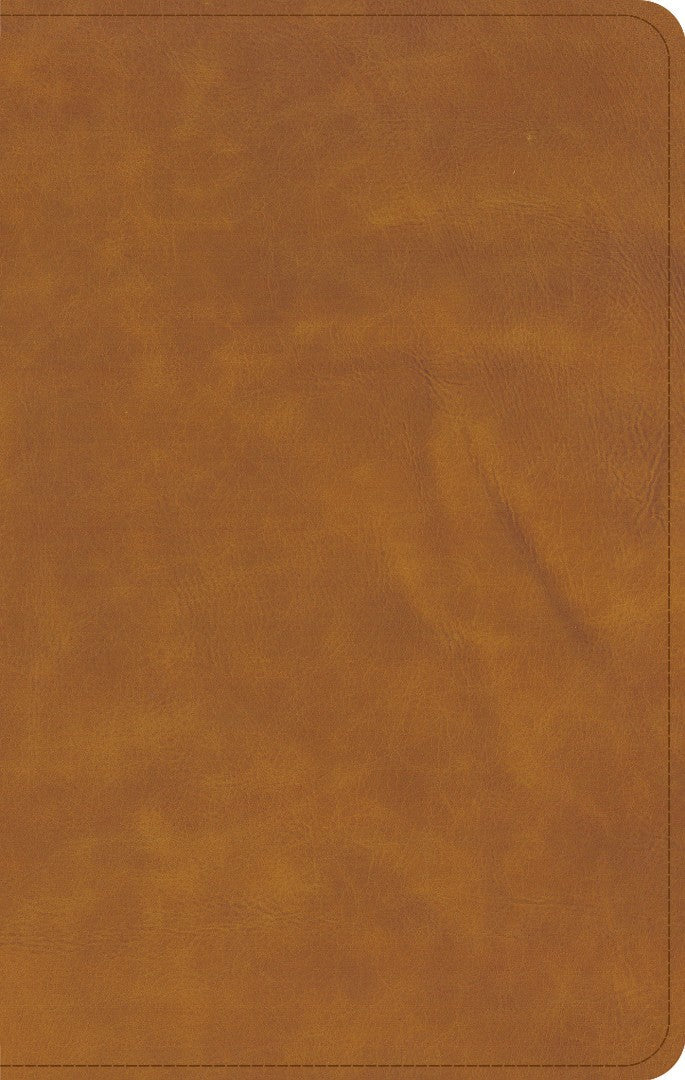 CSB Personal Size Bible, Saddle - Re-vived