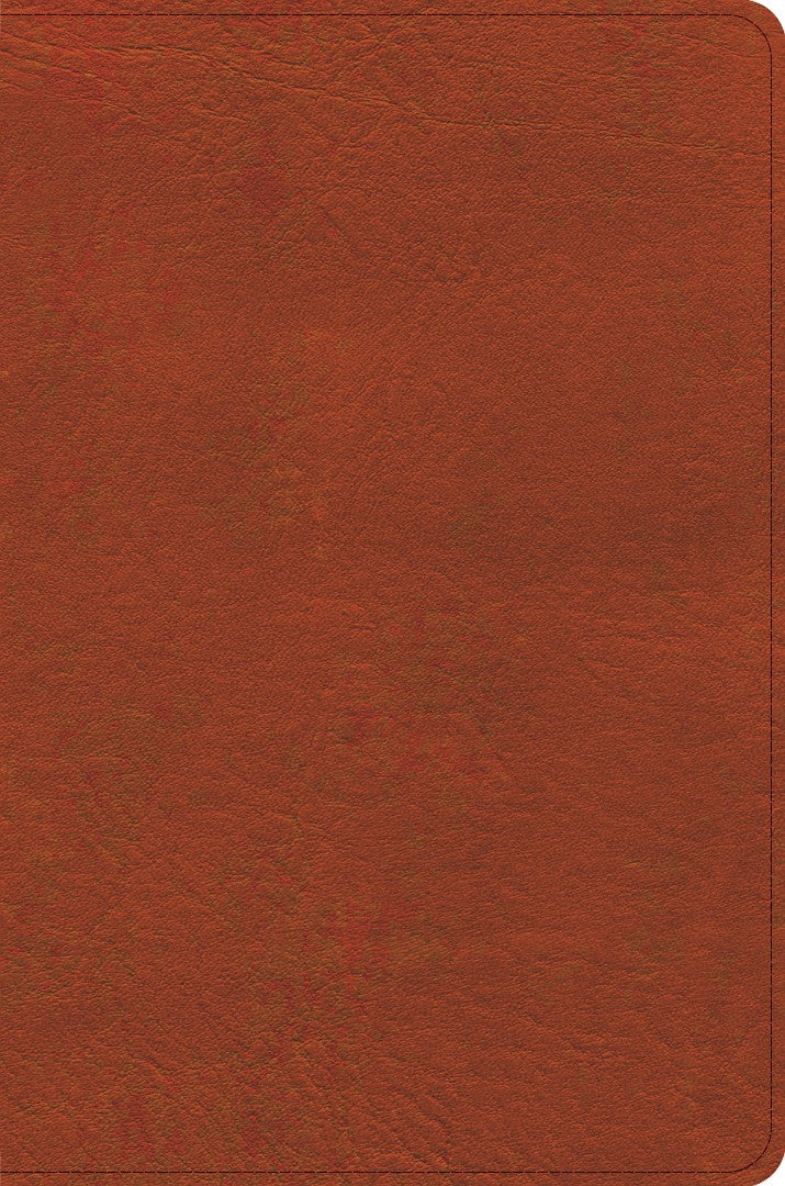 CSB Study Bible, Personal Size Edition, Burnt Sienna - Re-vived