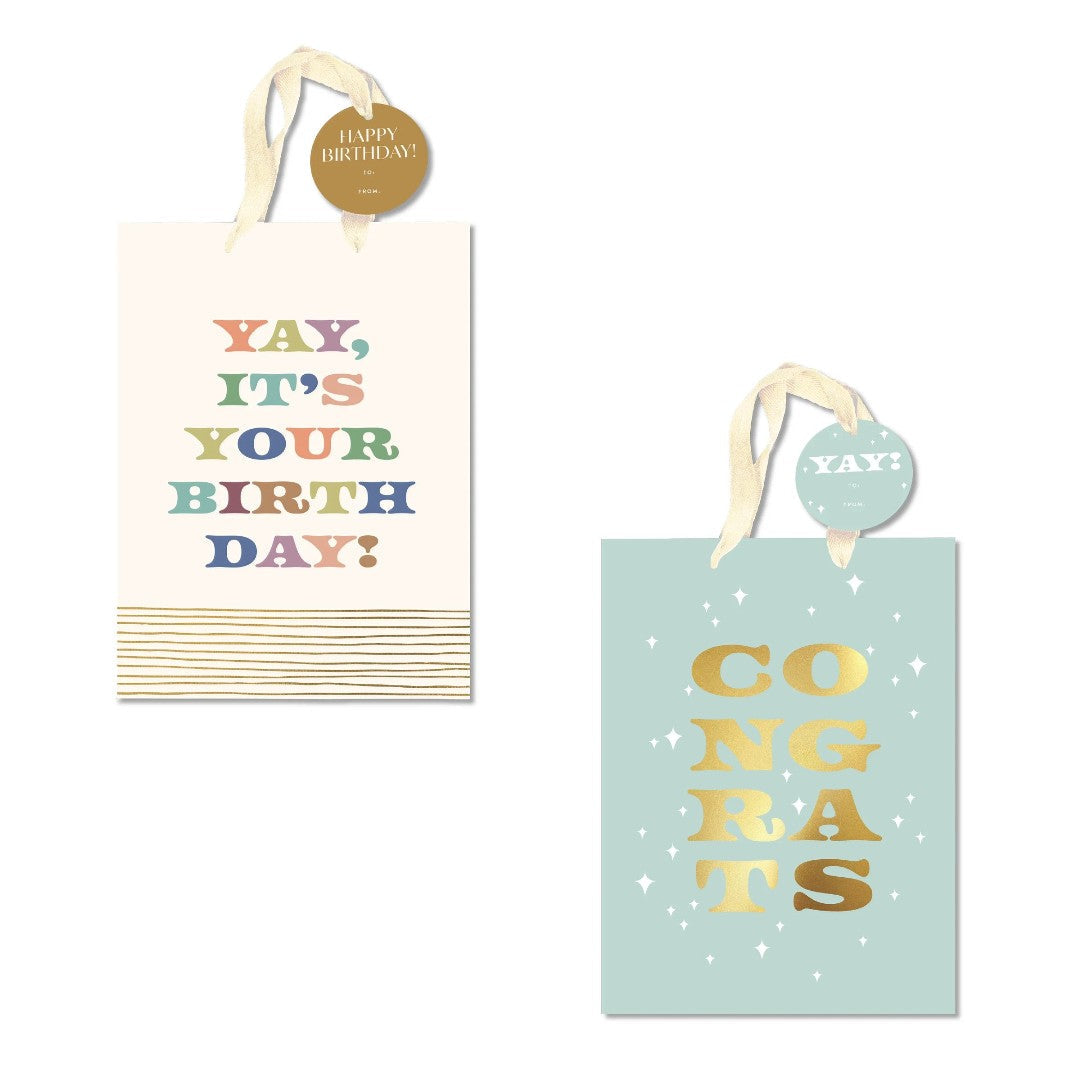 Bless and Celebrate Medium Gift Bag (pack of 2) - Re-vived