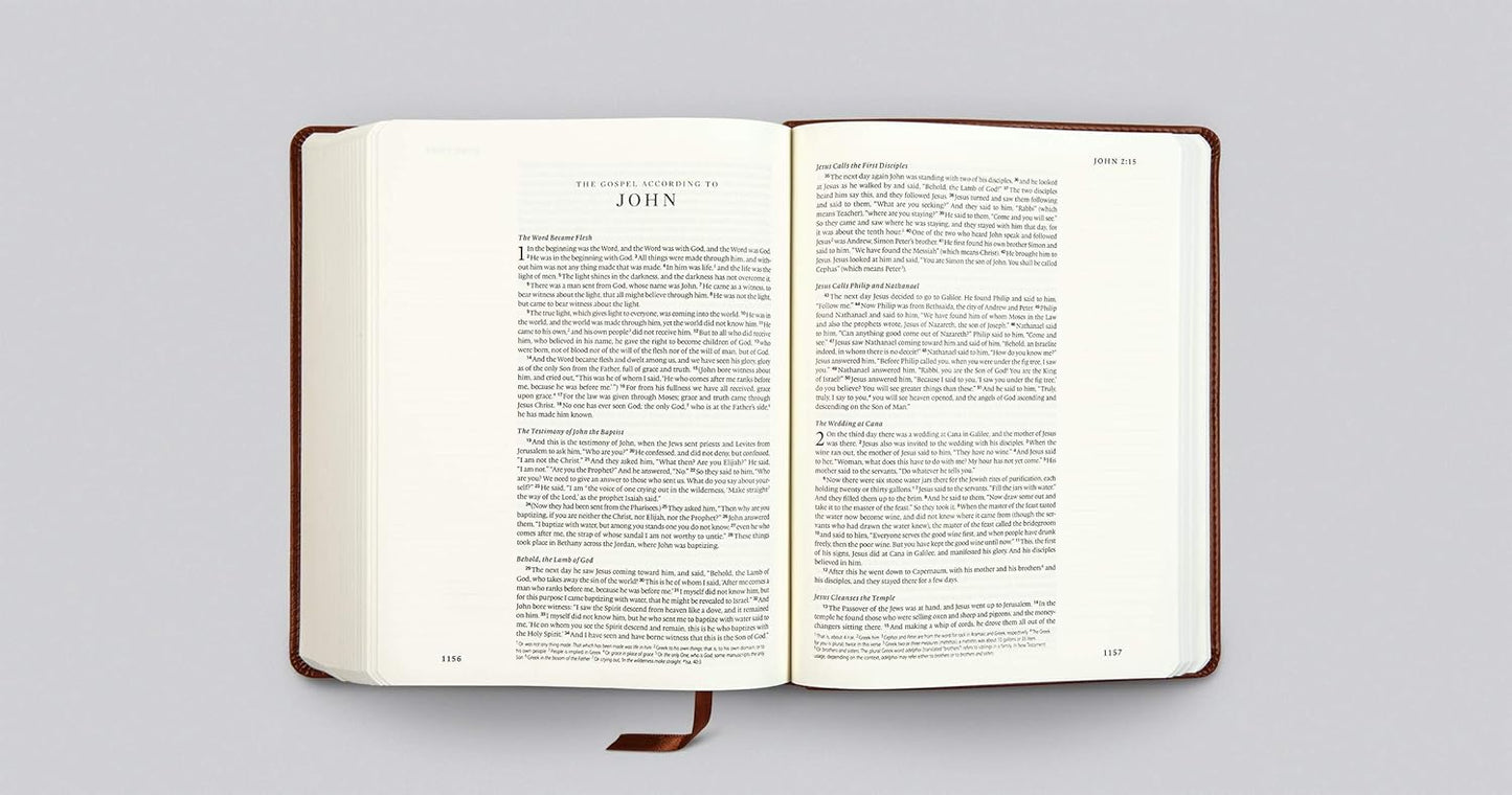 ESV Single Column Journaling Bible, Chestnut, Leaves - Re-vived