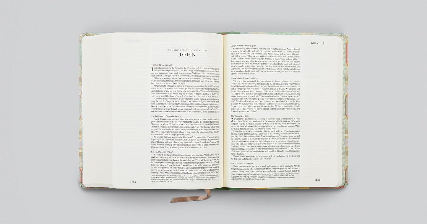 ESV Single Column Journaling Bible, Artist Series - Re-vived