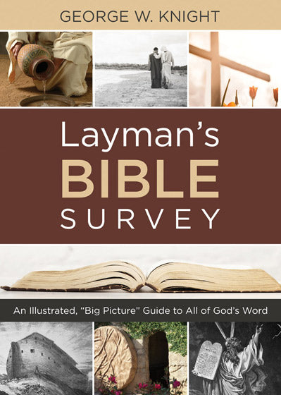 Layman'S Bible Survey Pb - Re-vived