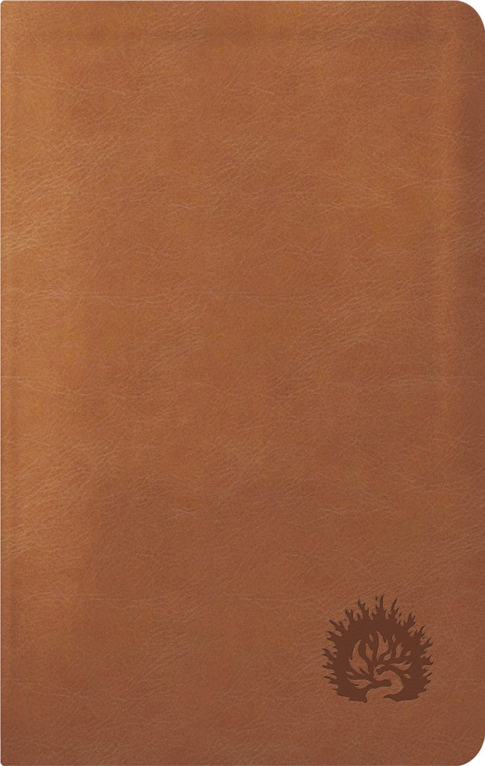 La Biblia De Estudio De La Reforma, Edición Condensada - Re-vived