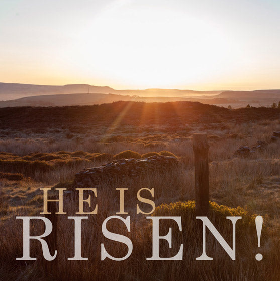 Easter Card - He Is Risen! (Pack Of 5) - Re-vived