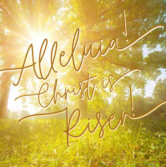 Easter Mini Cards - Sunburst/Alleluia! (Pack Of 5) - Re-vived