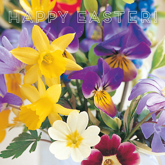 Easter Card - Daffodils And Pansies (Pack Of 5) - Re-vived