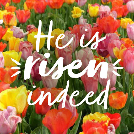 Compassion Charity Easter Cards - Tulips/He Is Risen Indeed - Re-vived