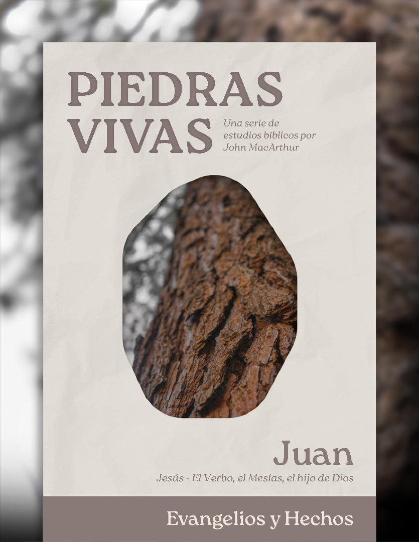 Piedras Vivas: Juan - Estudio Bíblico - Re-vived