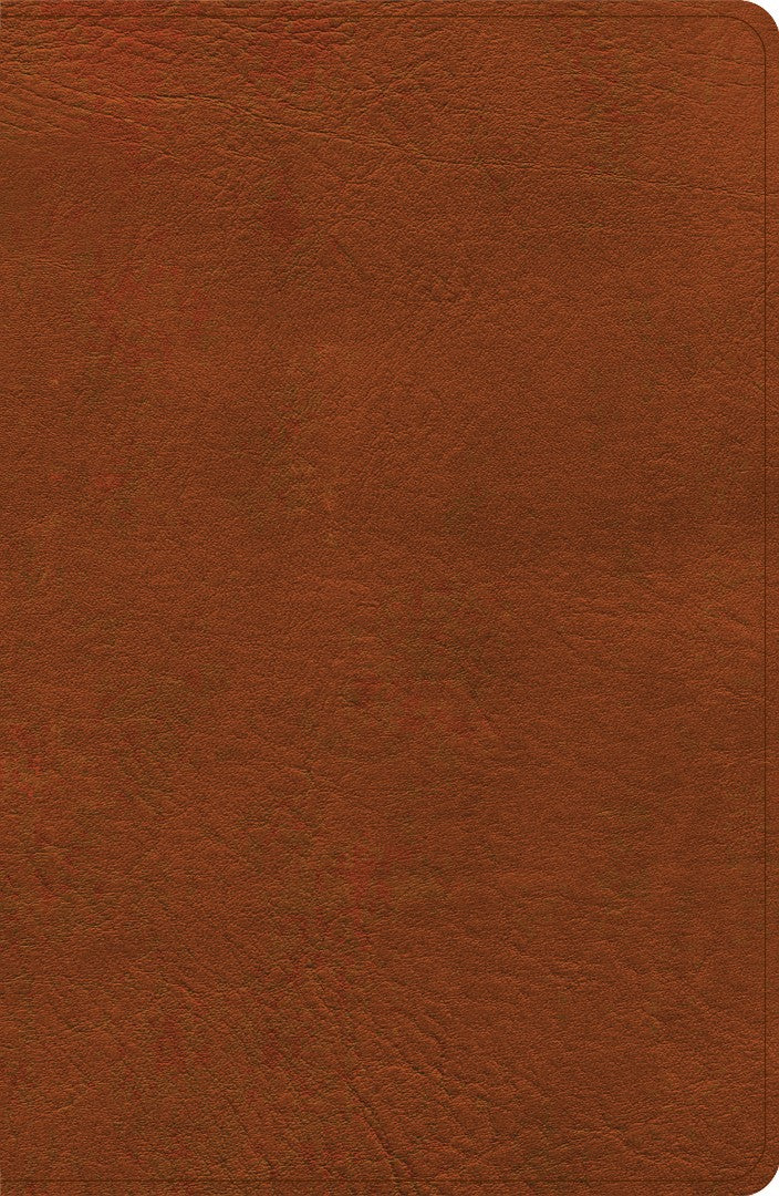 NASB Personal Size Giant Print Bible, Burnt Sienna - Re-vived