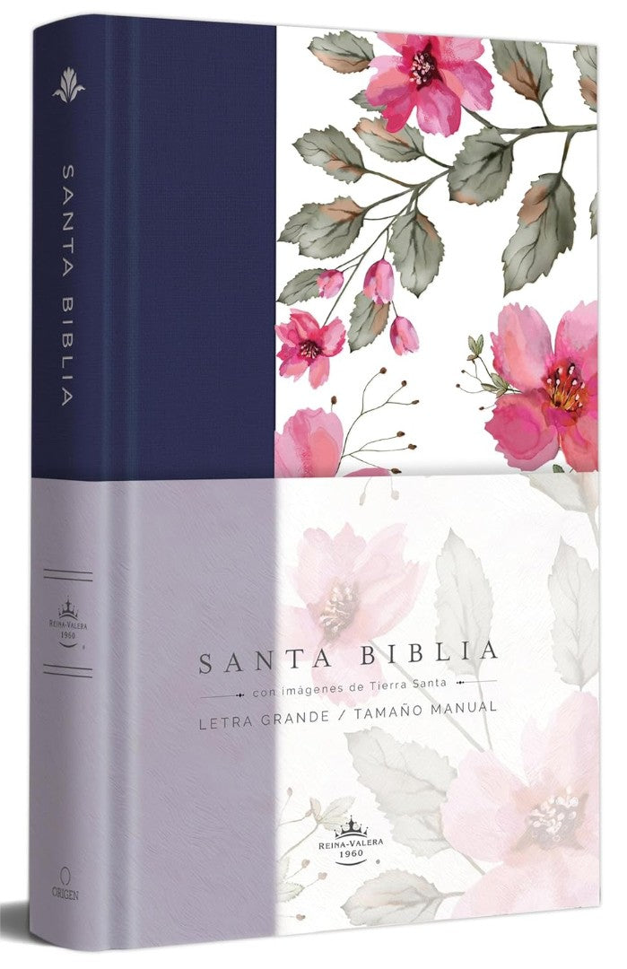 Biblia Rvr 1960 Letra Grande. Tapa Dura Tela Azul PúRpura Co - Re-vived