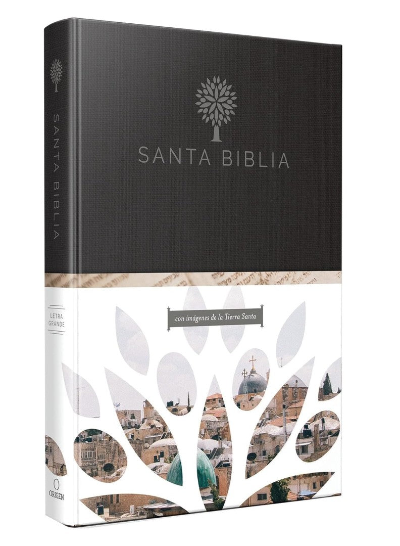 Biblia Reina Valera 1960 Tamaño Grande, Letra Grande - Re-vived