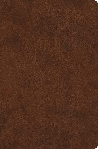 ESV Value Compact Bible, Brown - Re-vived