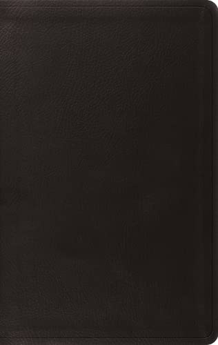 ESV Value Thinline Bible, Red Letter, Black - Re-vived