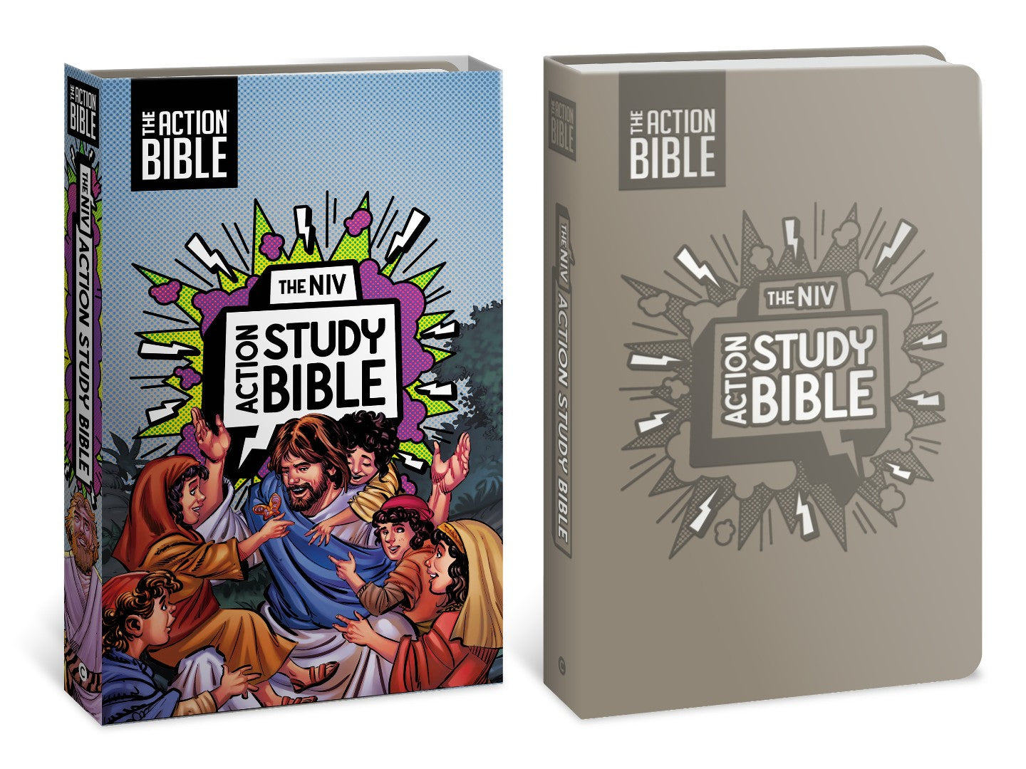 NIV Action Study Bible, Leathersoft, Gray, Full Color - Re-vived