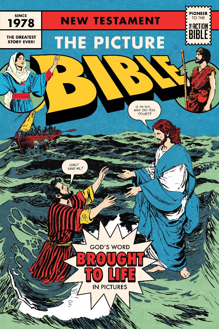 The Picture Bible New Testament - Re-vived