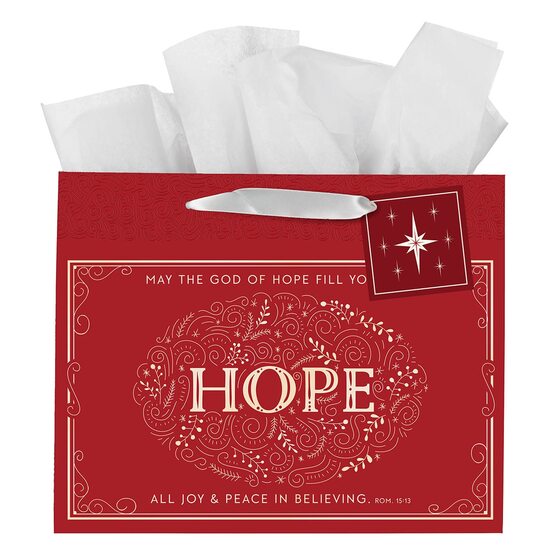 Large Gift Bag: May The God Of Hope - Re-vived