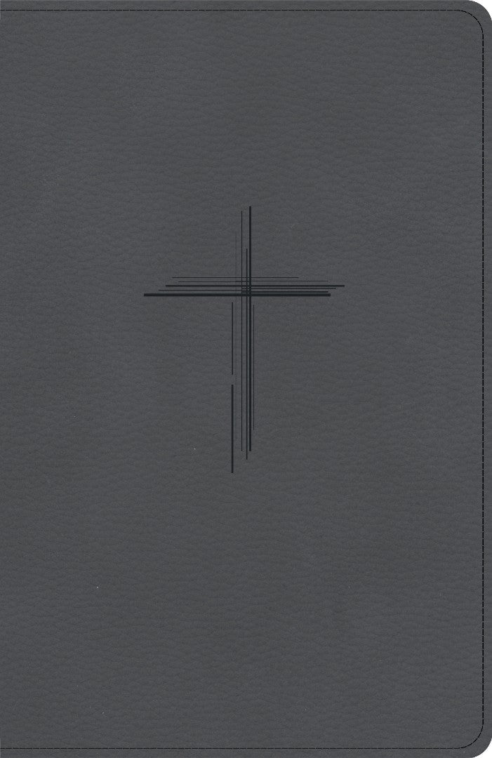 CSB Personal Size Giant Print Bible, Digital Study Edition - Re-vived