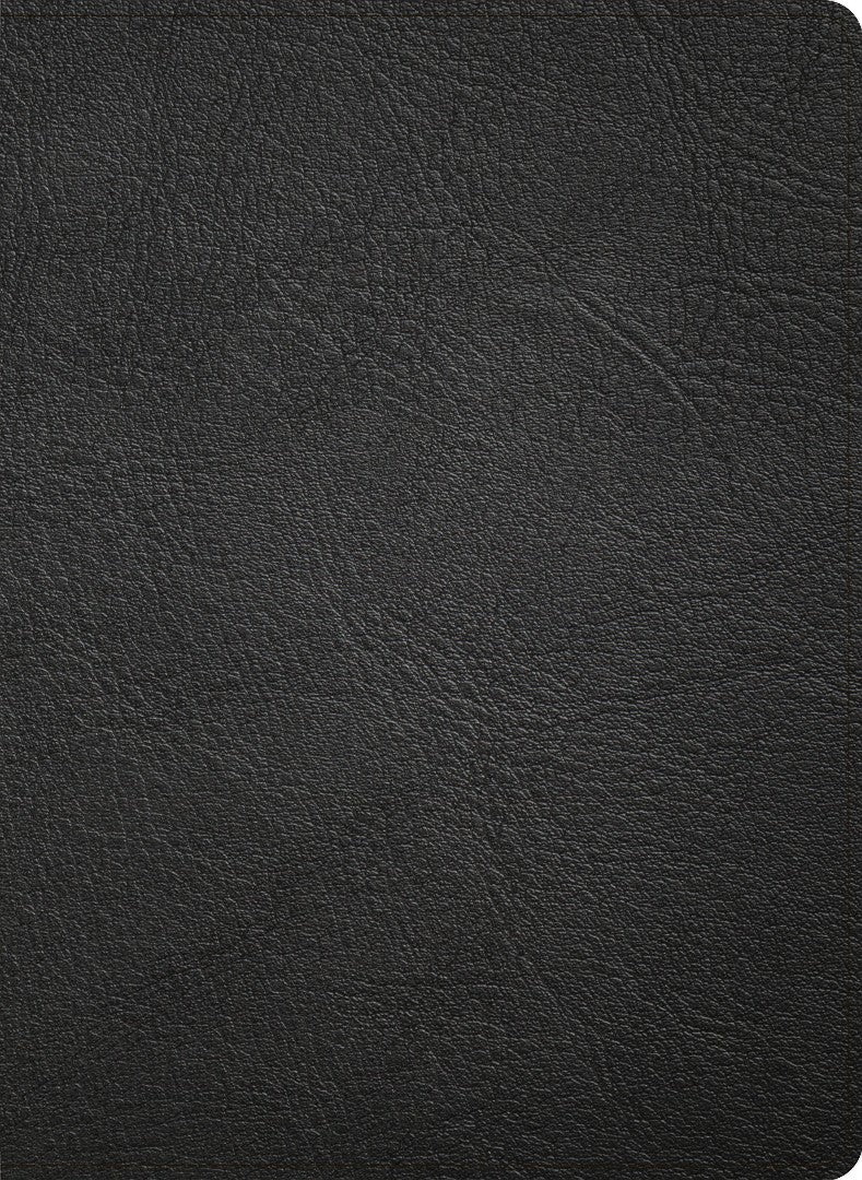 NASB Study Bible, Black Genuine Leather - Re-vived