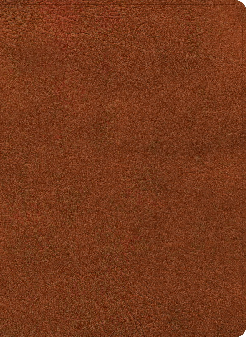 NASB Study Bible, Burnt Sienna Leathertouch, Indexed - Re-vived