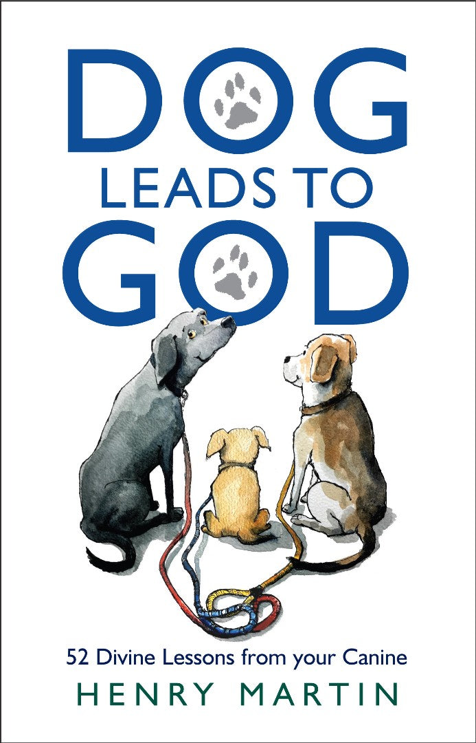 The Dog Walker's Guide to God - Re-vived