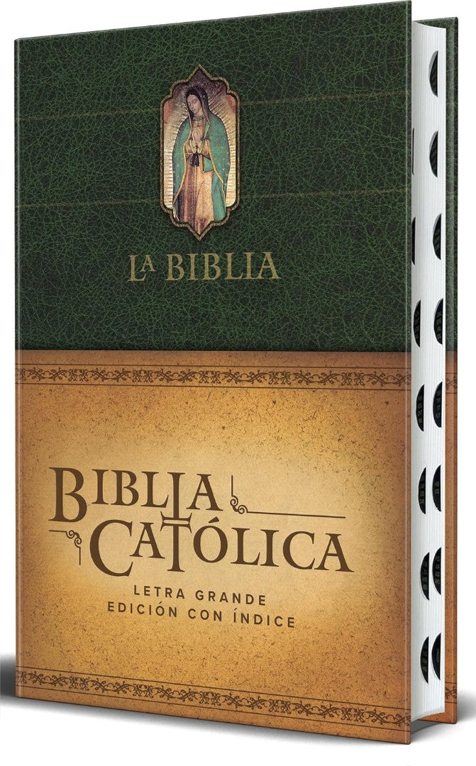 La Biblia CatóLica: EdicióN Letra Grande, Hc, Verde Con - Re-vived