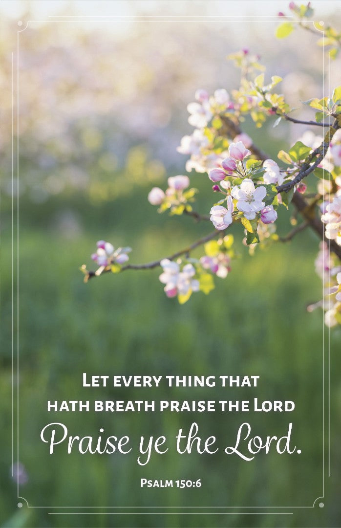 General Worship Bulletin: Let Every Thing (Pack of 100) - Re-vived