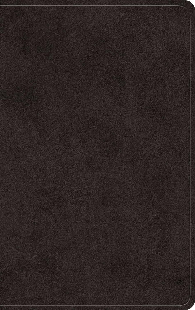 ESV Giant Print Value Personal Size Bible, Red Letter - Re-vived