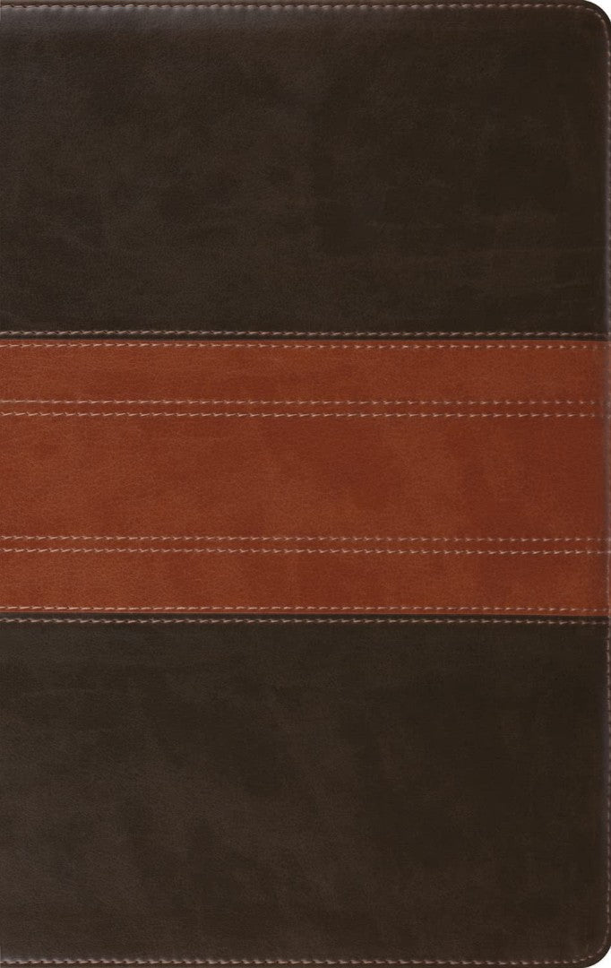 ESV Large Print Personal Size Bible, Red Letter, Forest/Tan - Re-vived