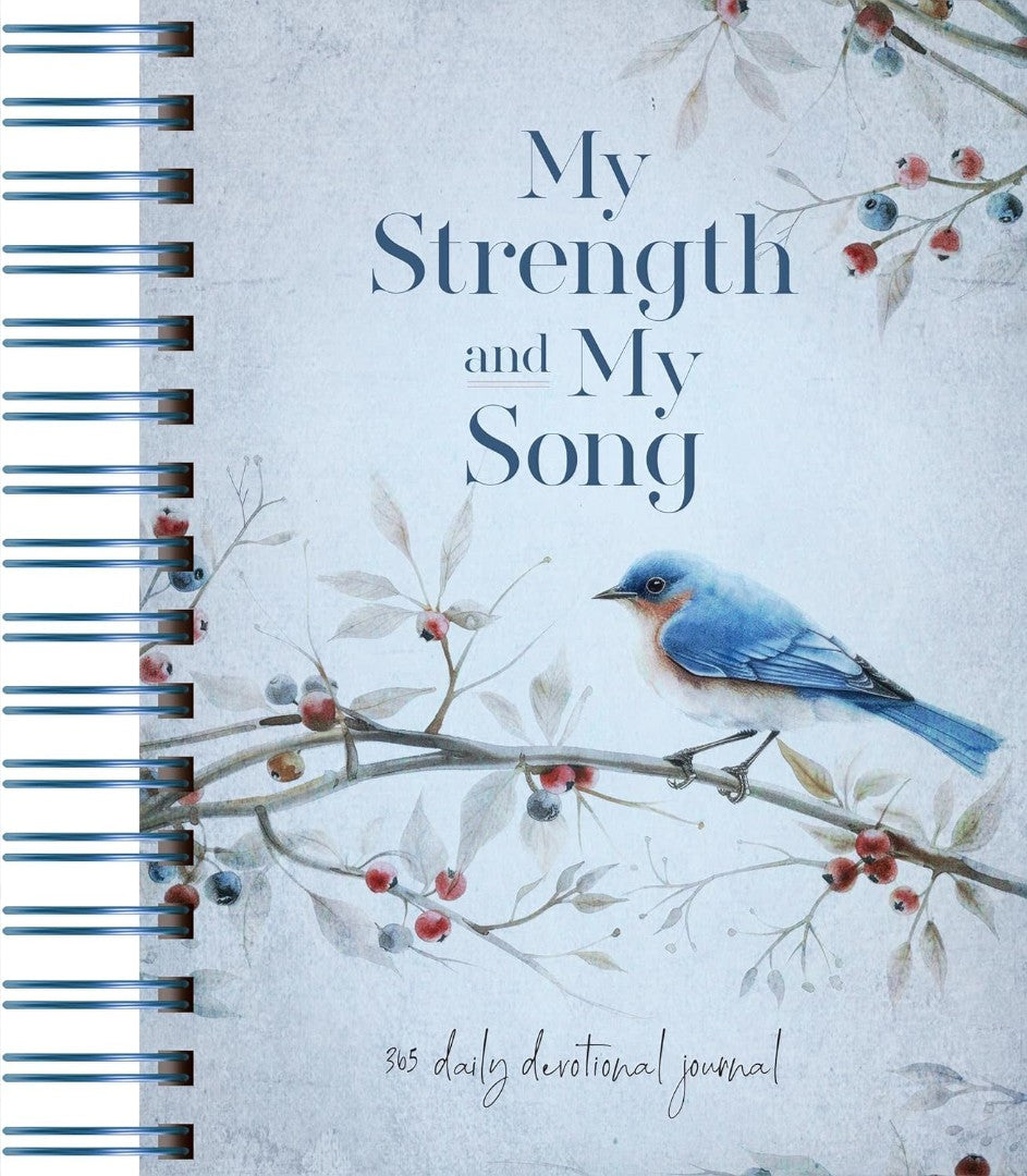 My Strength and My Song - Re-vived
