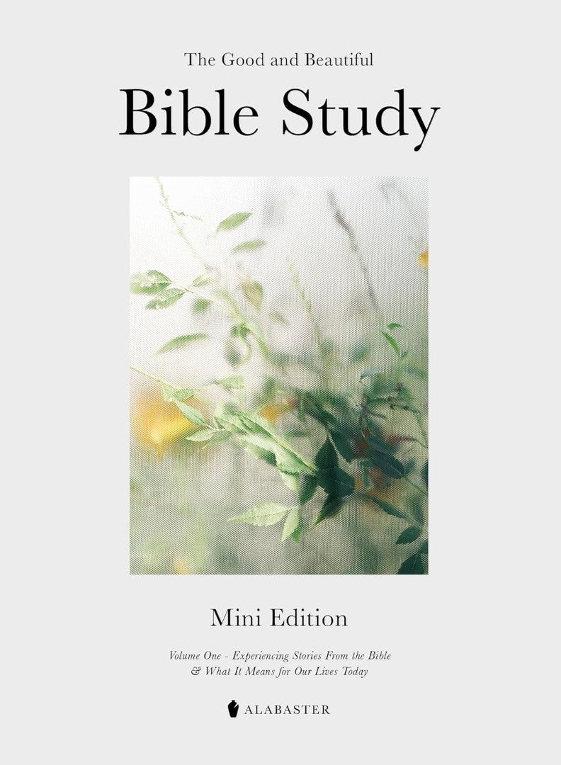 The Mini Good and Beautiful Bible Study - Re-vived