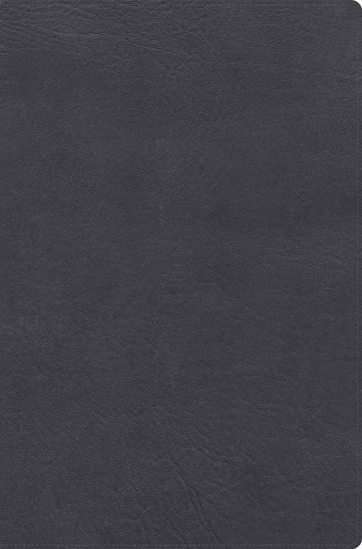 RVR 1960 Biblia De Estudio De Letra Gigante, Negro - Re-vived
