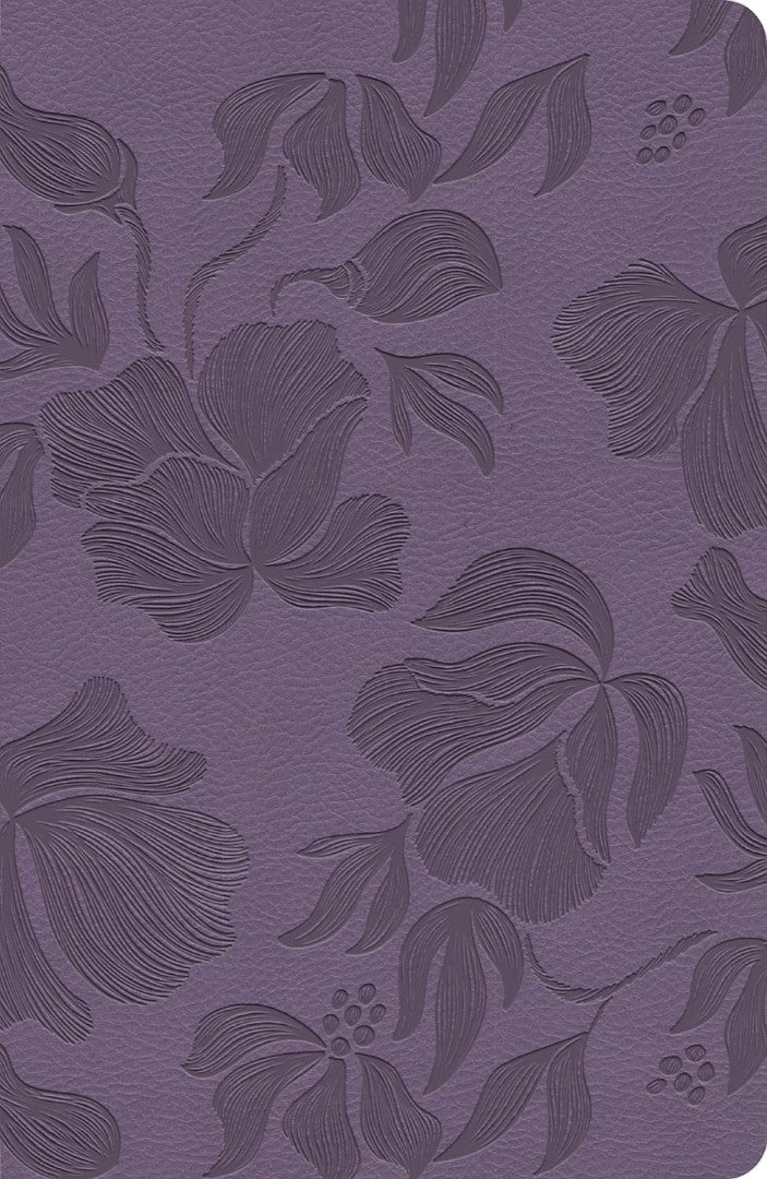 CSB Large Print Personal Size Reference Bible, Purple - Re-vived