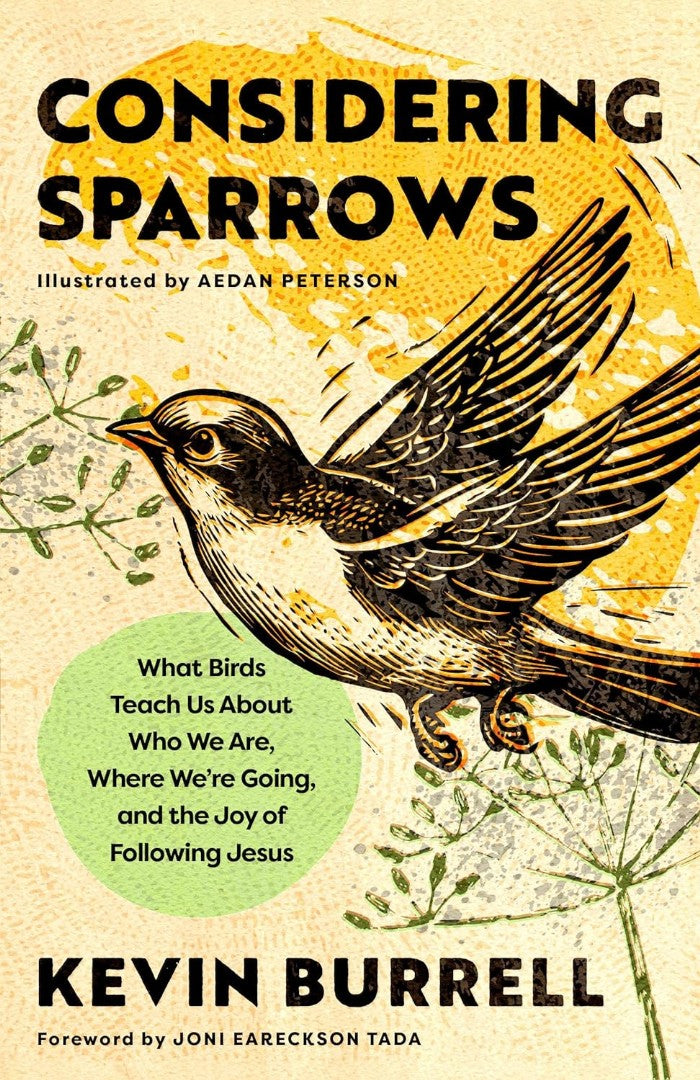 Considering Sparrows - Re-vived
