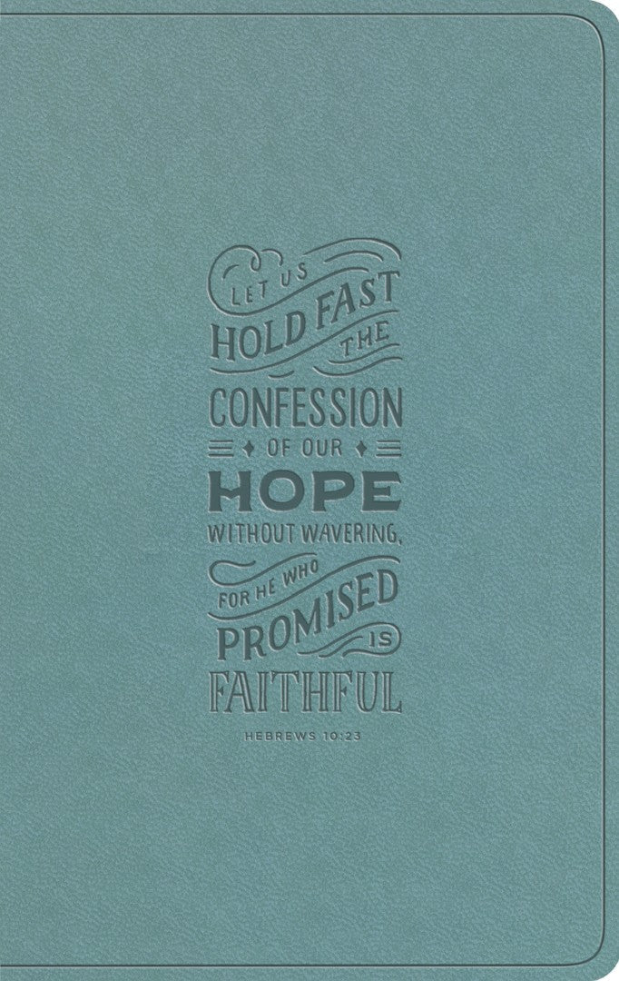 ESV Large Print Value Thinline Bible, Paris Sky - Re-vived