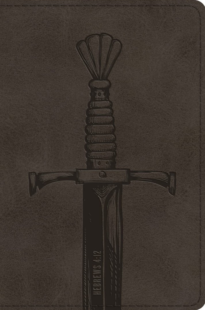 ESV Compact Bible, Silver, Sword Design - Re-vived